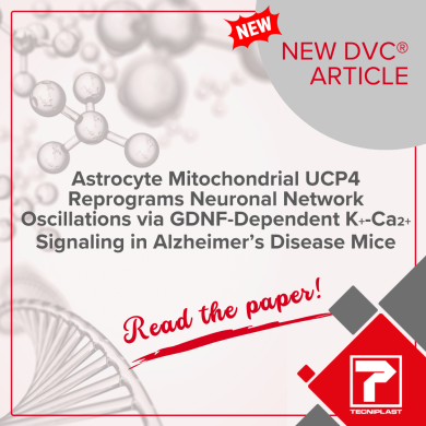 Astrocyte Mitochondrial UCP4 Reprograms Neuronal Network Oscillations via GDNF-Dependent K+-Ca2+ Signaling in Alzheimer’s Disease Mice