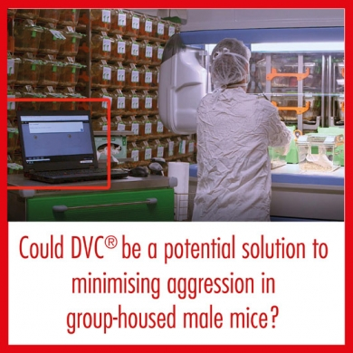 DVC® could potentially reduce aggression events within group housed male mice through spotted (on-demand) cage change